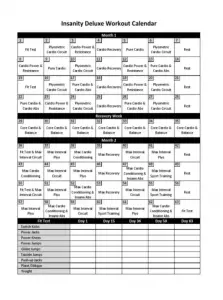 insanity workout calendar free pdf download
