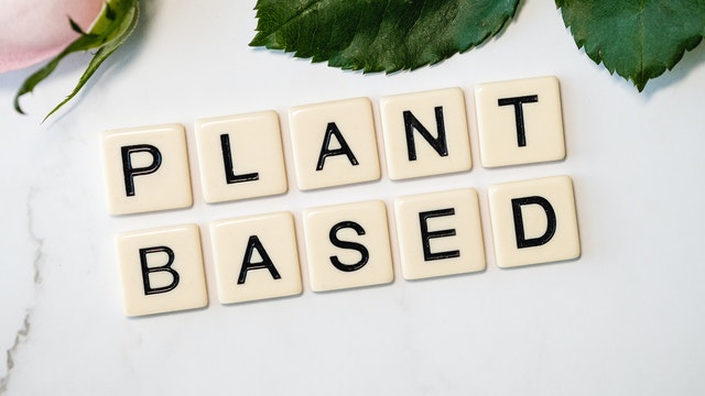 plant based recipes