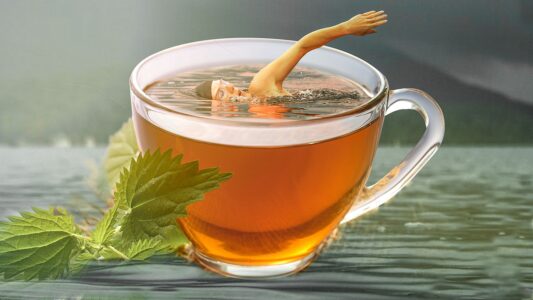 best tea for detox