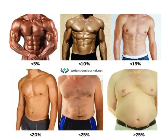 body fat chart men with pictures